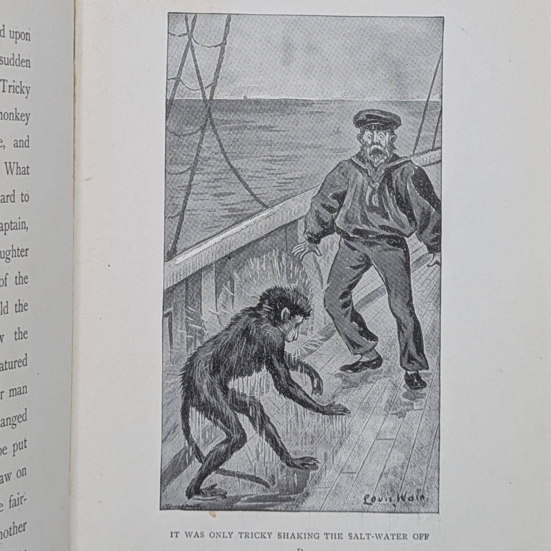 louis wain vintage book (4).png