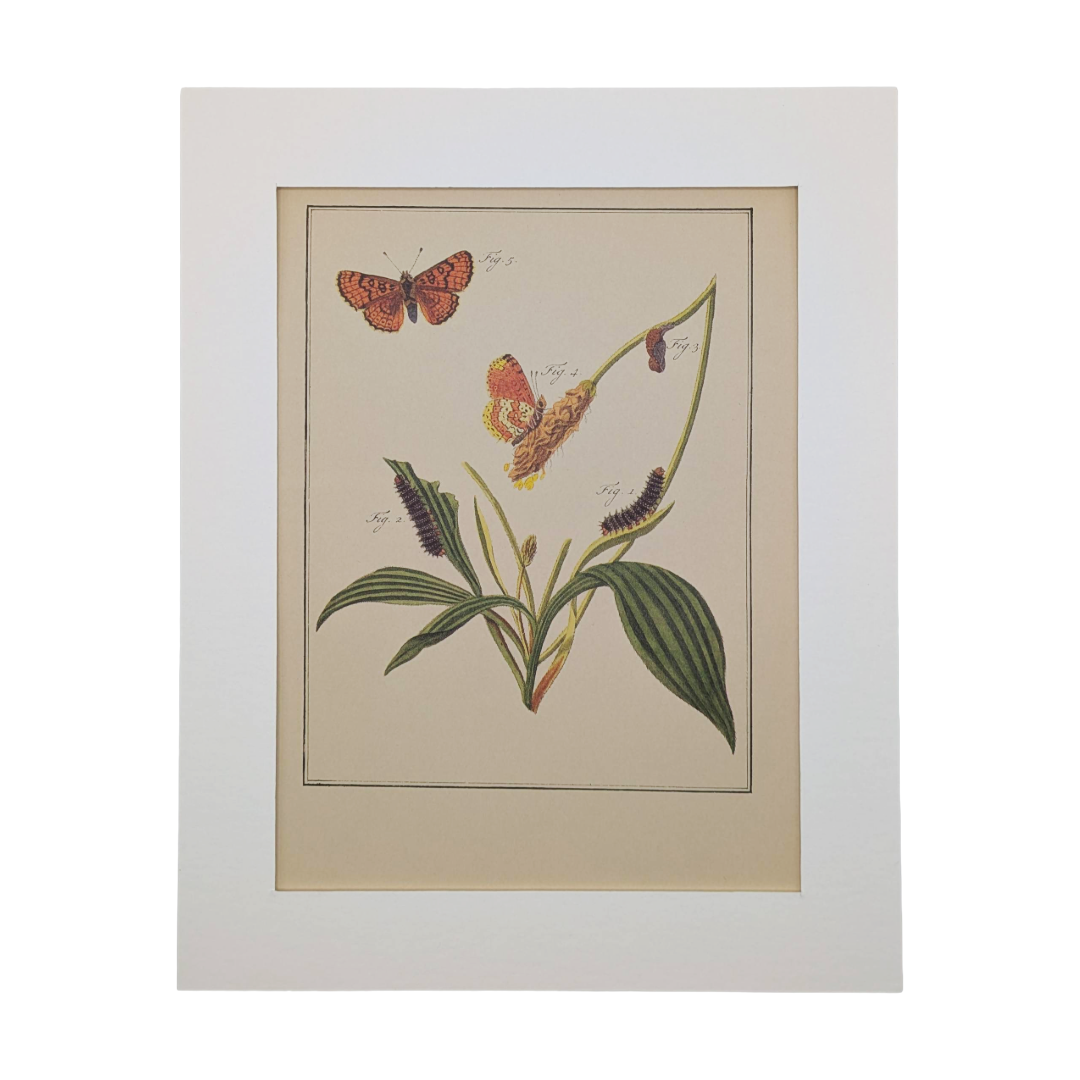 Untitled_20260115_132103.png (Copy)