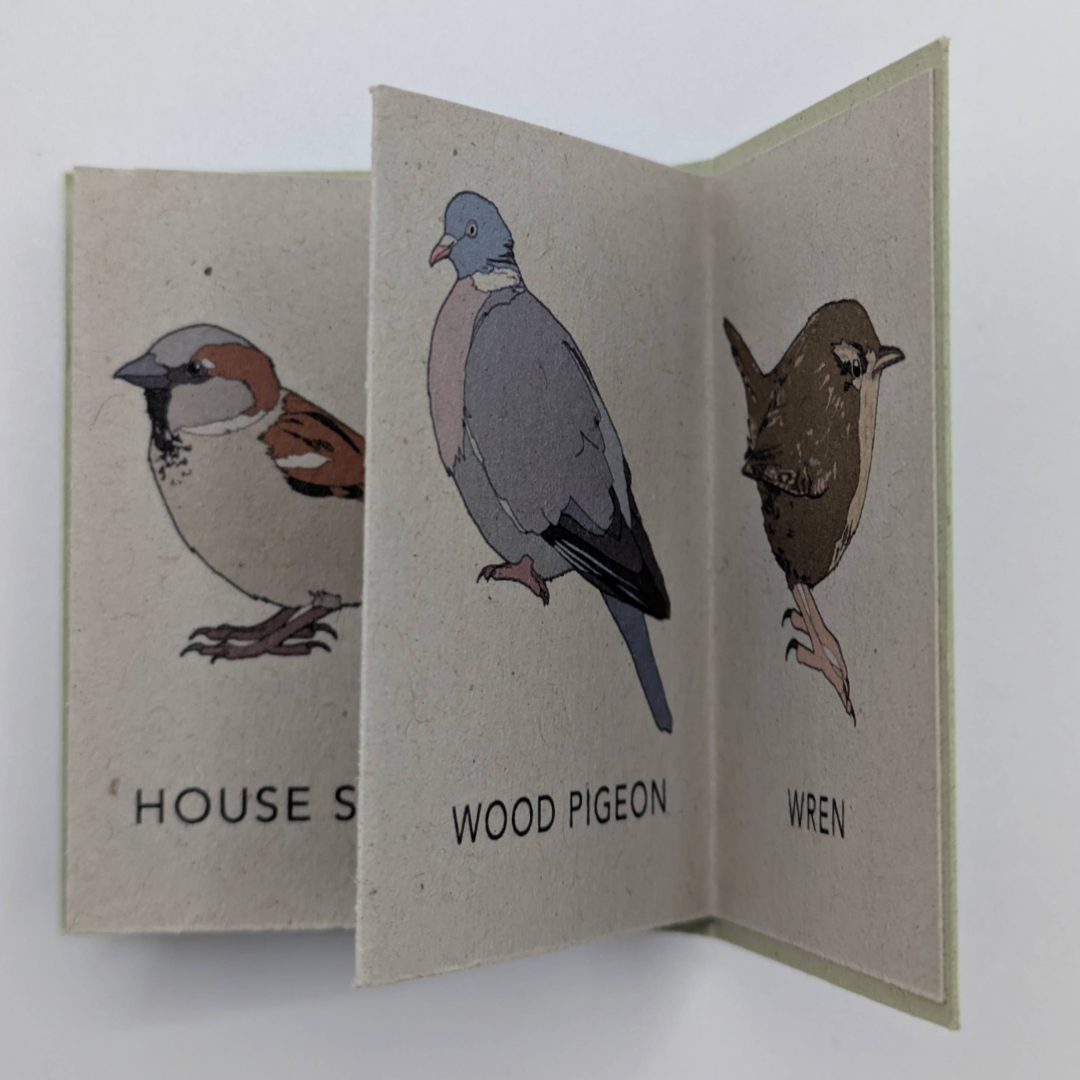 tiny books gifts for natural history (8).png