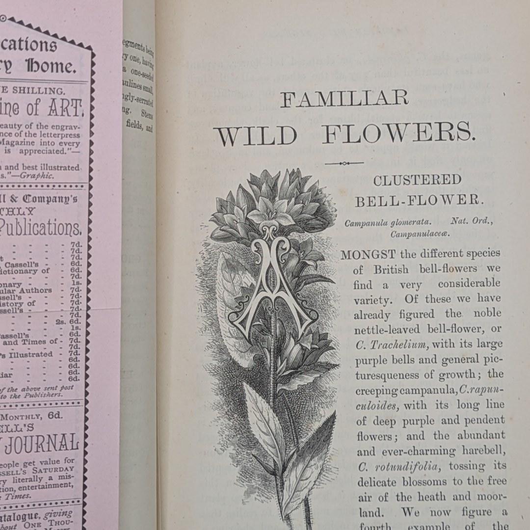 familiar wildflowers book vintage (2).png