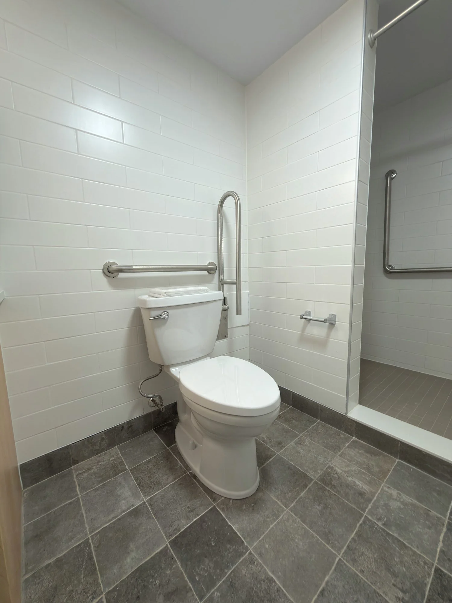 accessible-bathroom-toilet-grab-bars-shower-windsor-ontario-01.jpg