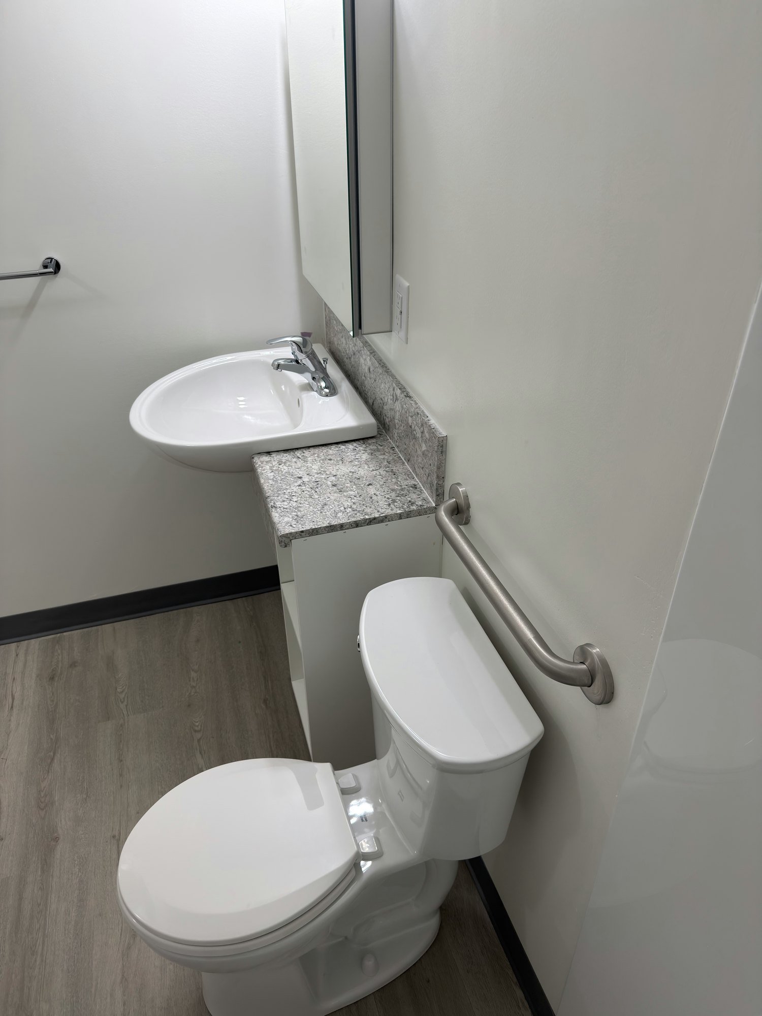 accessible-bathroom-toilet-grab-bar-wall-london-ontario-01.jpg