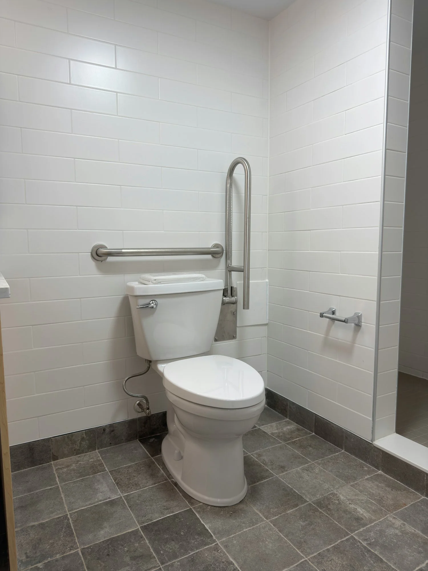 accessible-toilet-grab-bars-tiled-bathroom-windsor-ontario-01.jpg