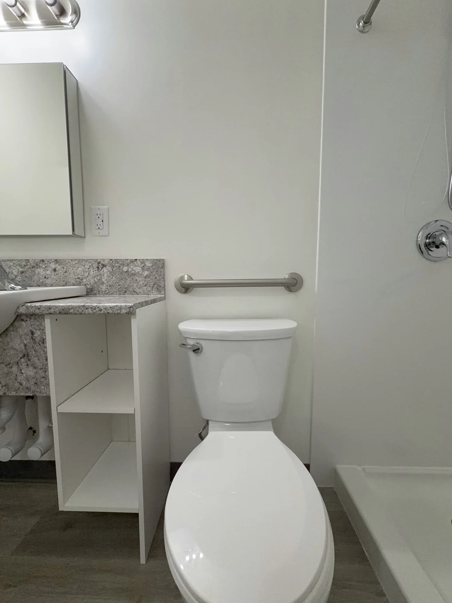 accessible-bathroom-toilet-grab-bar-shower-london-ontario-01.jpg