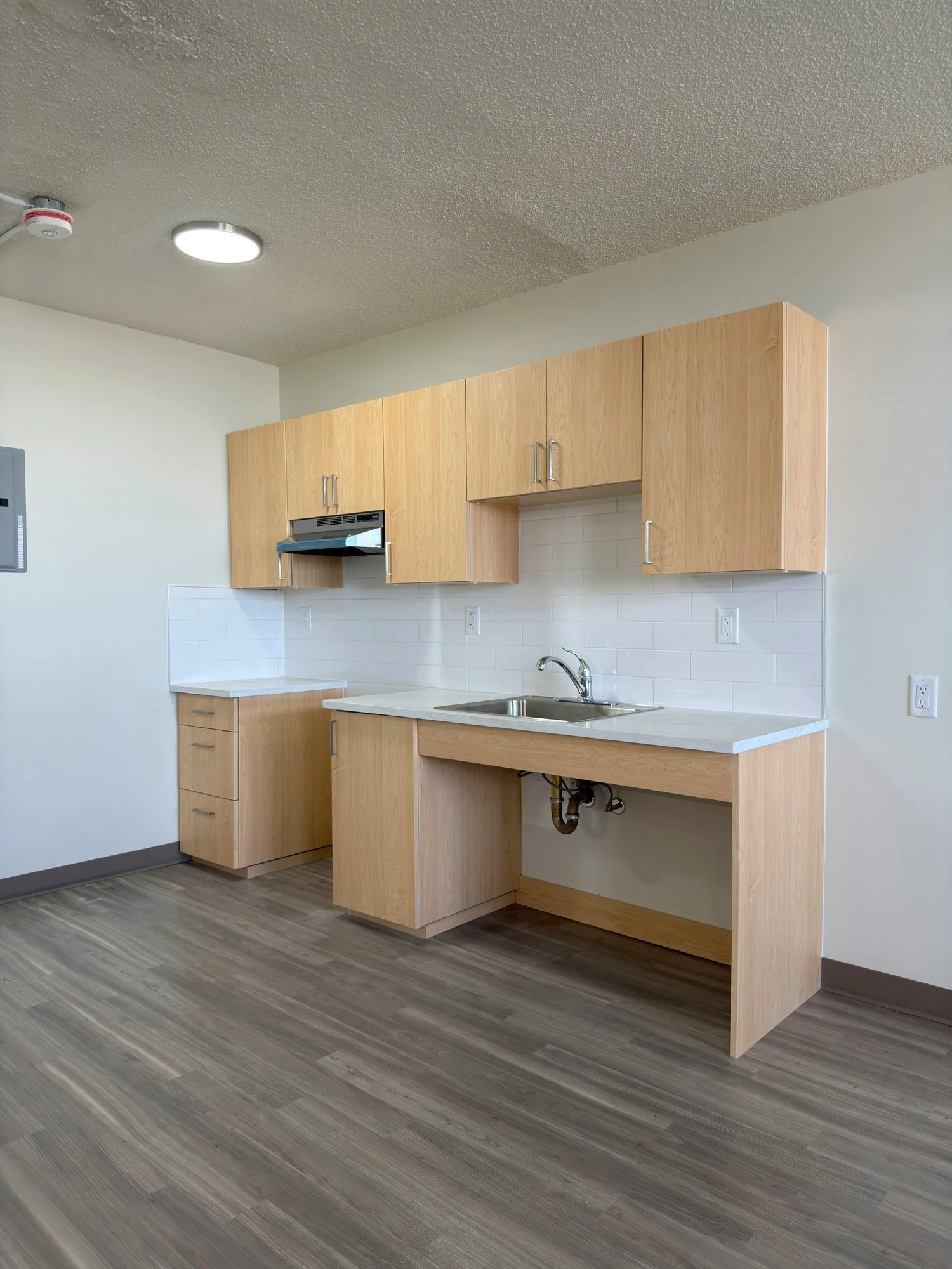 accessible-kitchen-lowered-sink-counter-windsor-ontario-01.jpg