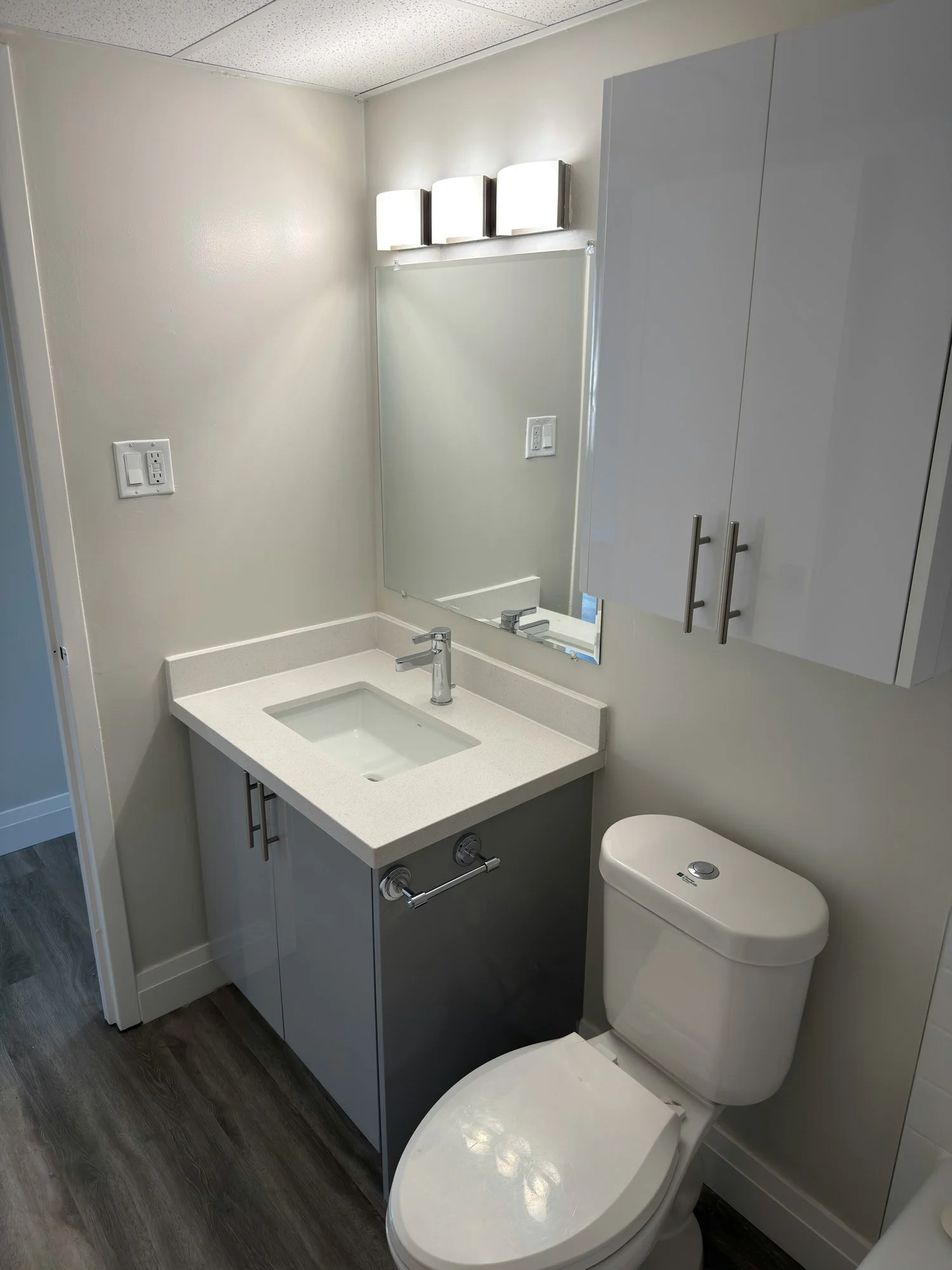finished-bathroom-grey-vanity-new-toilet-london-ontario-01.jpg
