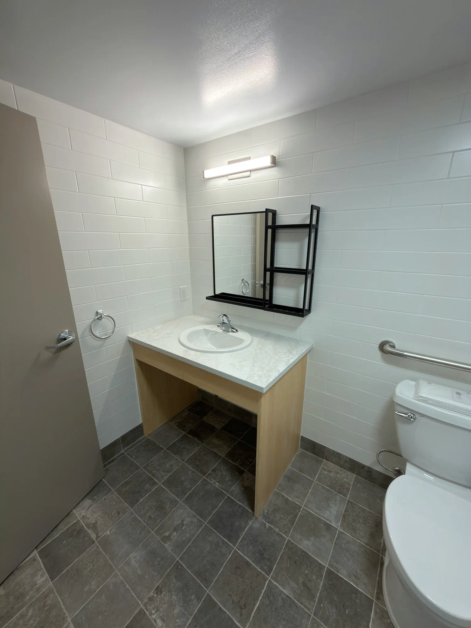 accessible-bathroom-vanity-and-toilet-grab-bar-windsor-ontario-01.jpg