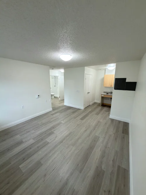 Finished living area with grey vinyl plank floor and a small kitchenette