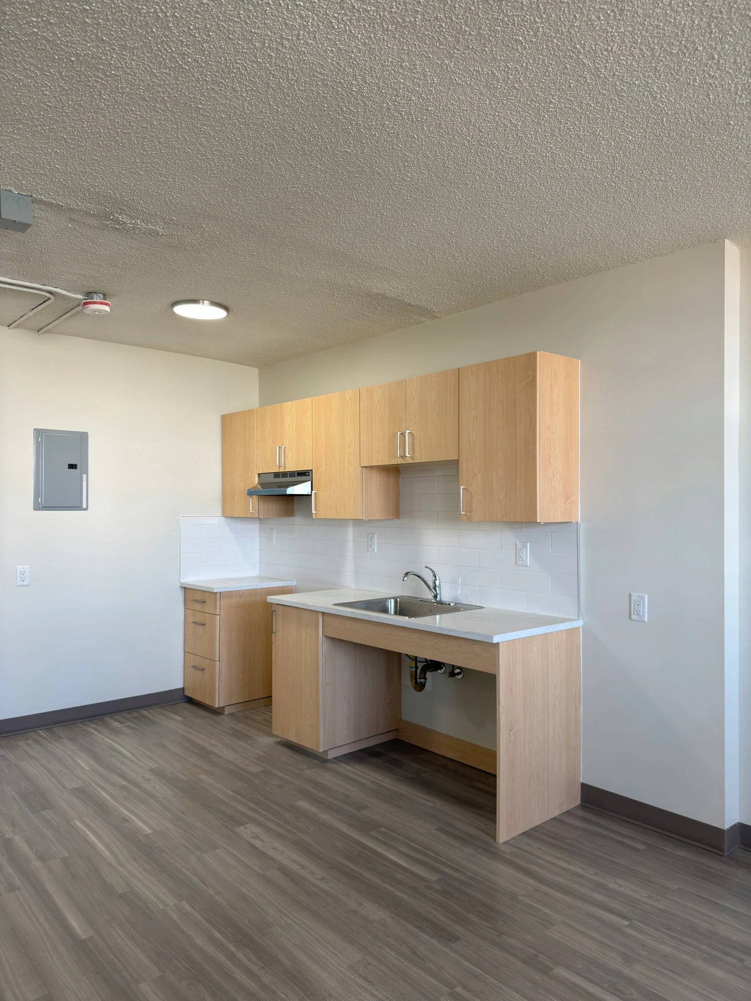 Kitchen with a sink in a lowered counter, open knee space underneath and light wood cabinets above