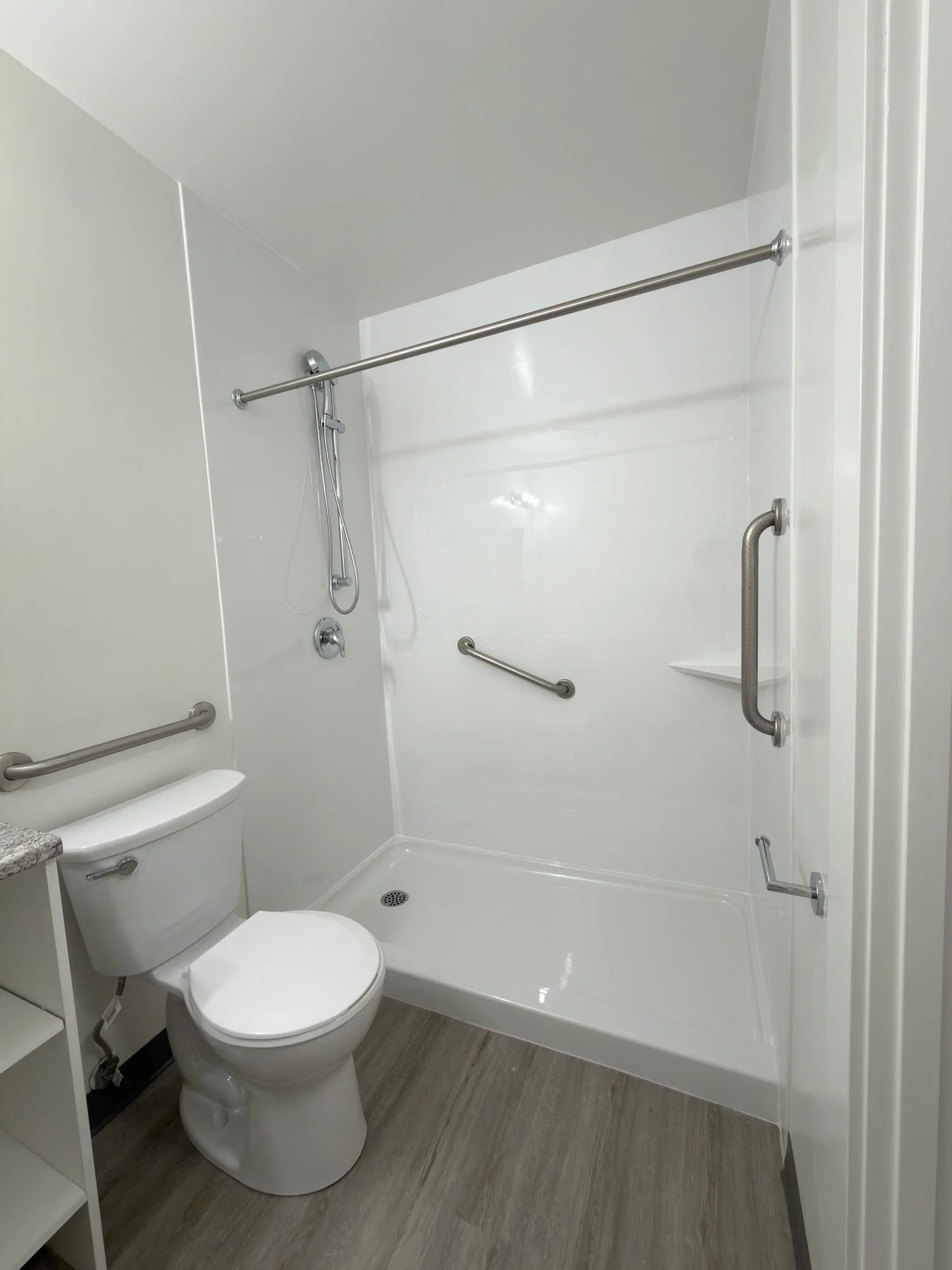 accessible-bathroom-roll-in-shower-grab-bars-london-ontario-01.jpg
