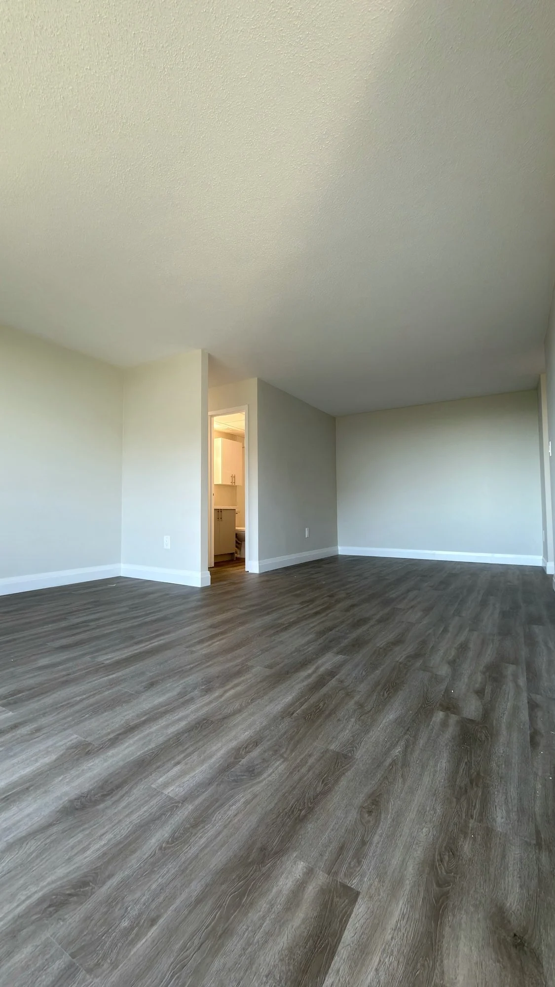 empty-living-area-new-vinyl-flooring-london-ontario-01.jpg