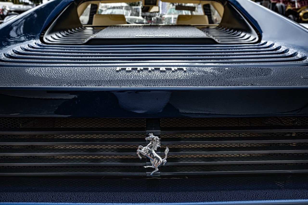 250814 Pebble NZ9_1153 Large.jpeg