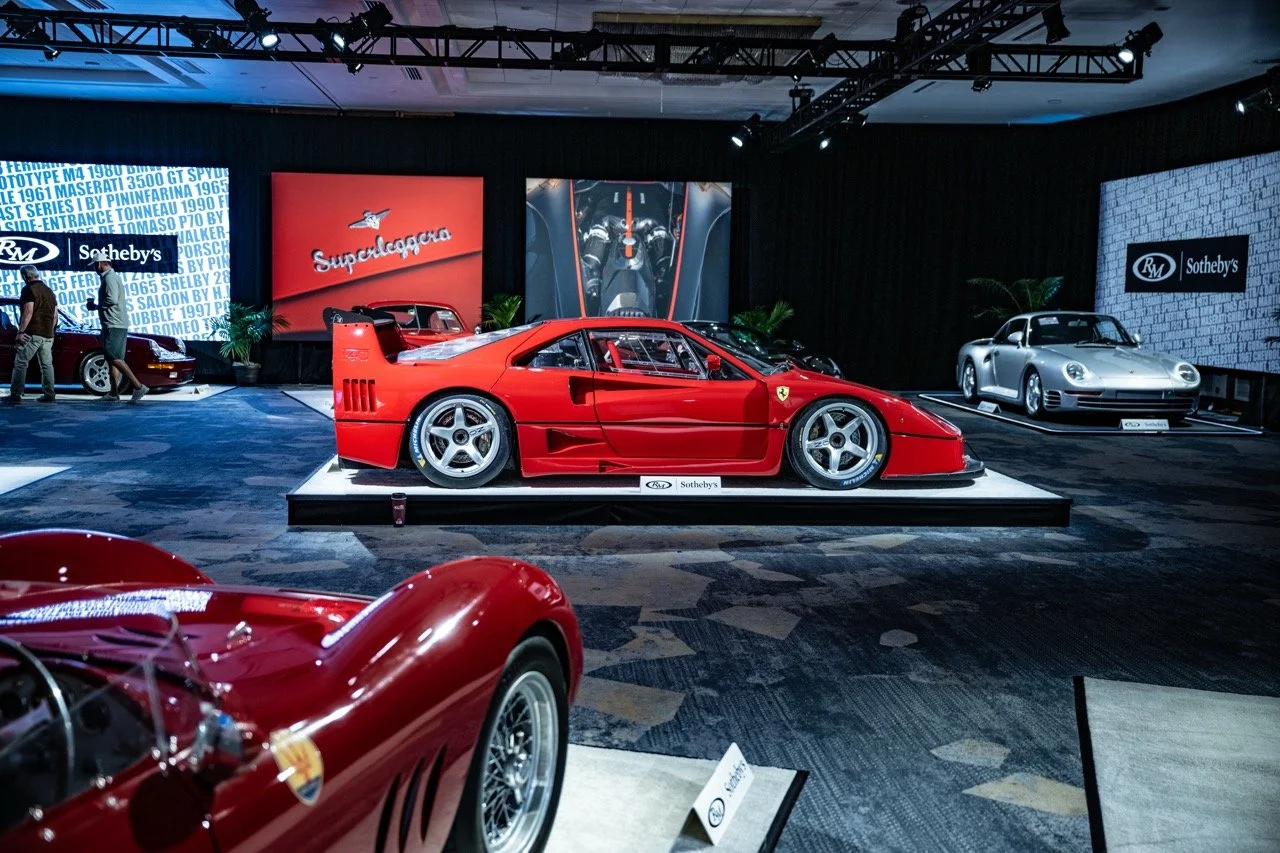 250814 Pebble NZ9_1192 Large.jpeg