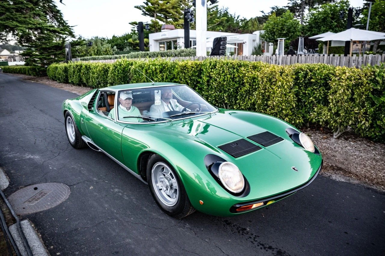 250817 Pebble NZ9_3886 Large.jpeg