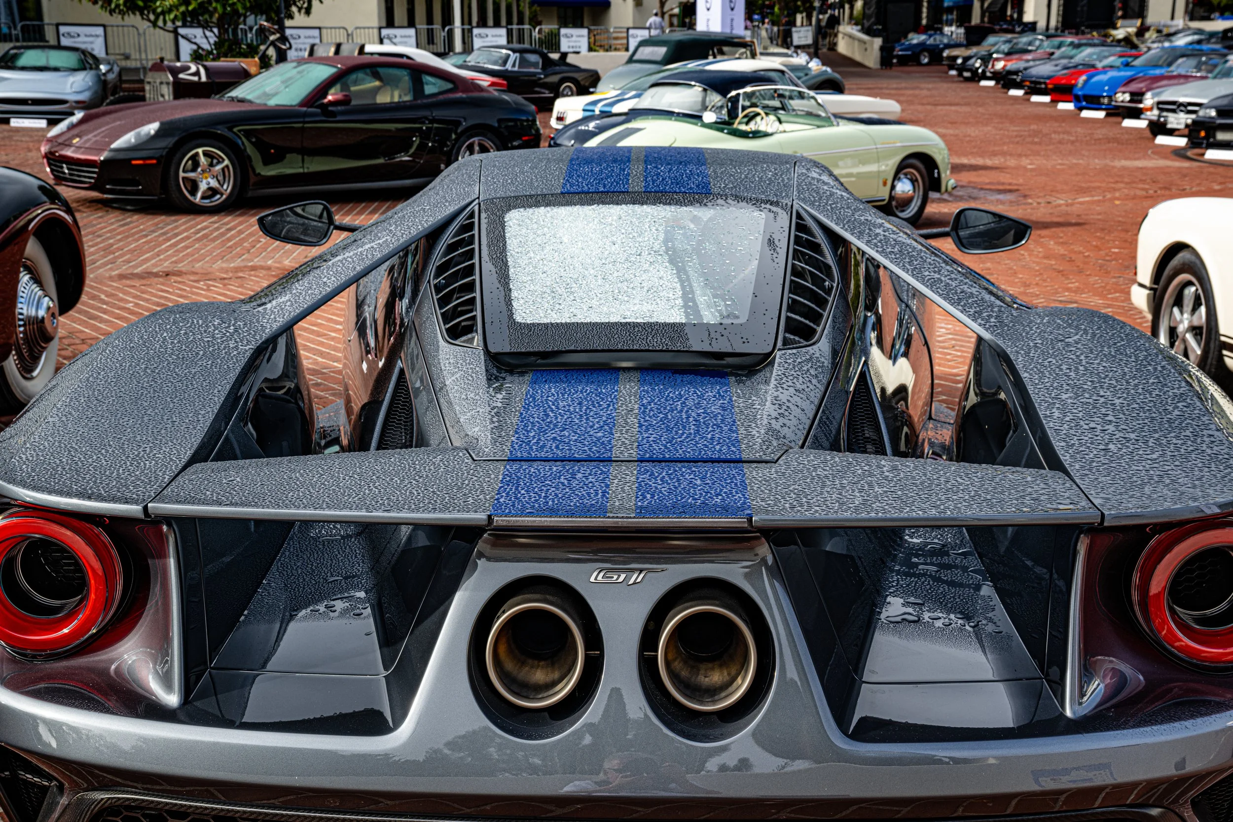 250814 Pebble NZ9_1089.jpeg