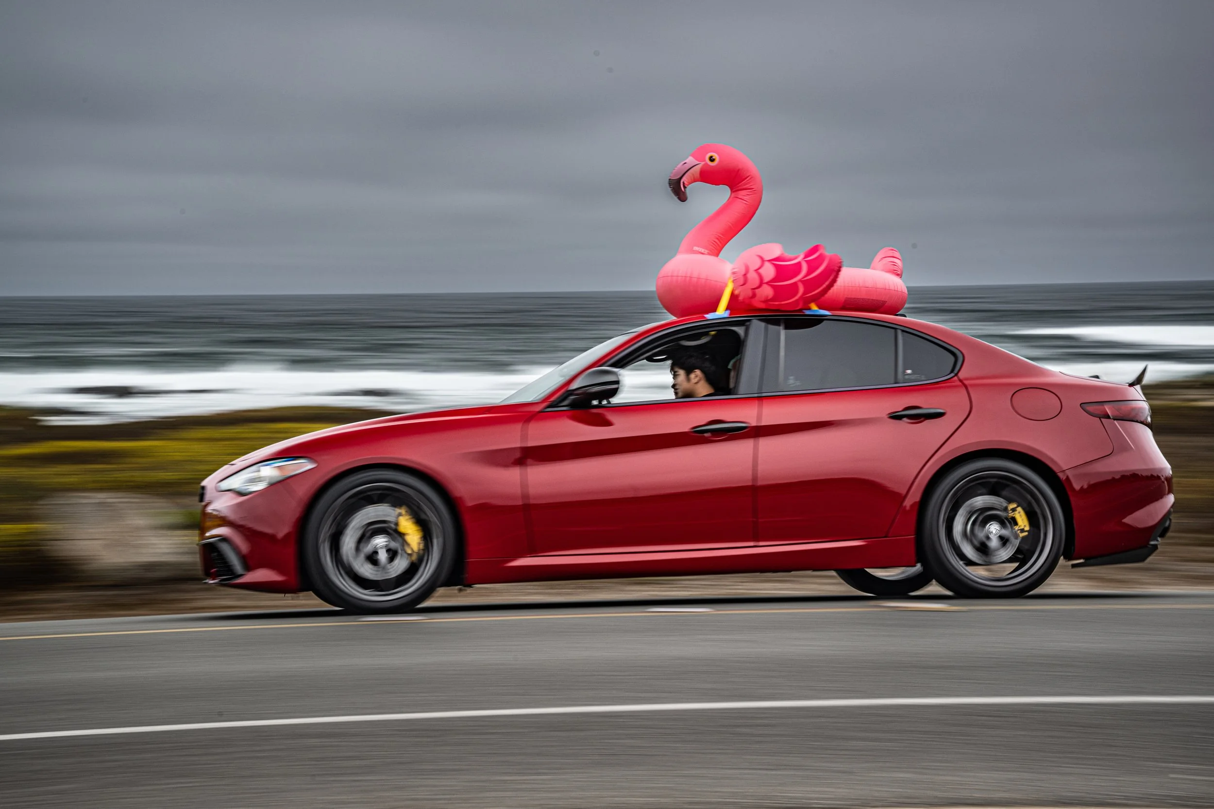 250815 Pebble NZ9_2488.jpeg