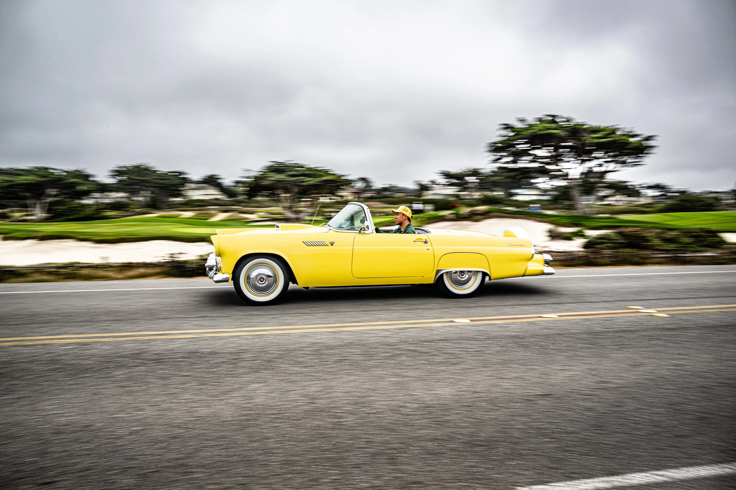 250815 Pebble NZ9_2786.jpeg