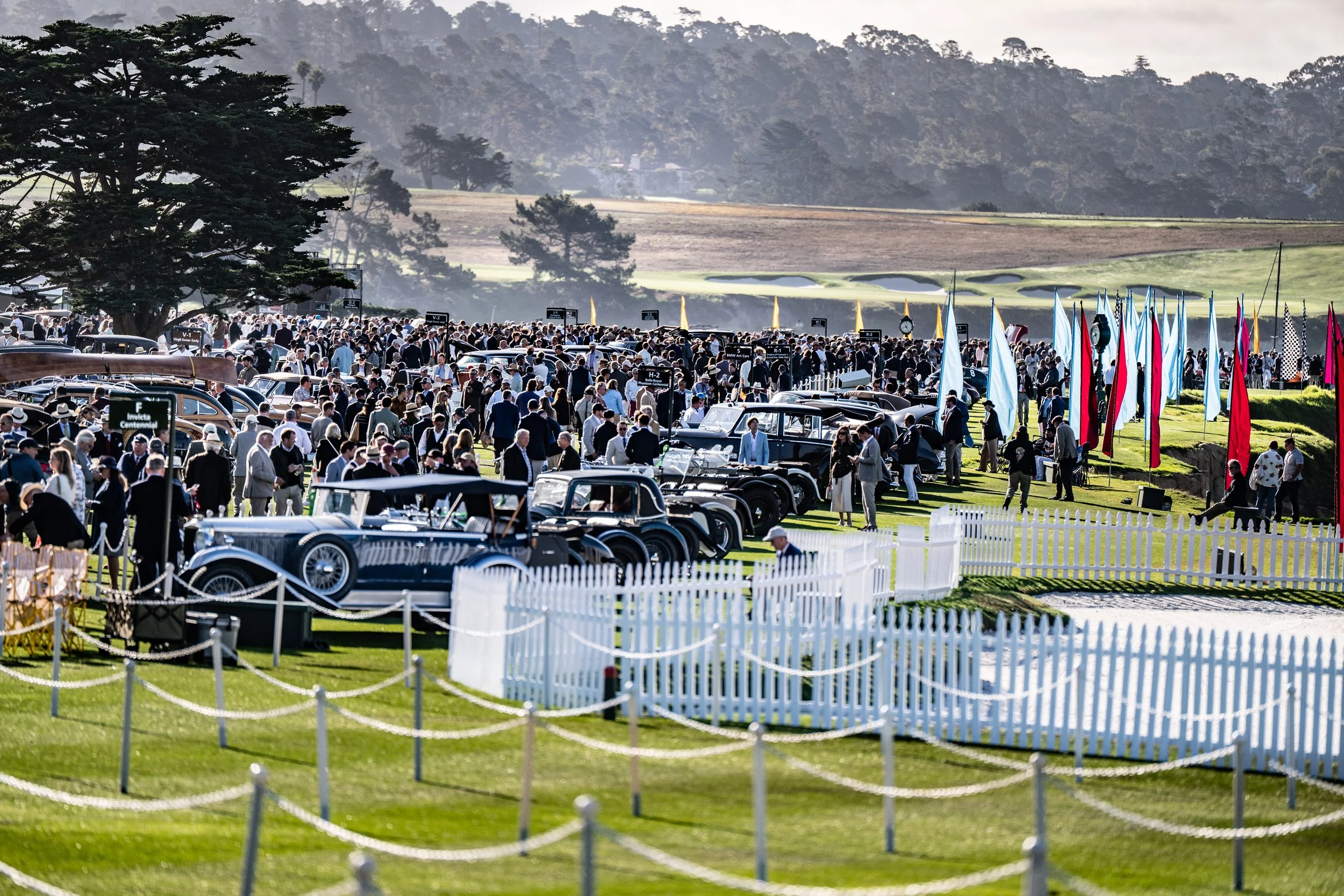 250817 Pebble NZ8_4584.jpeg