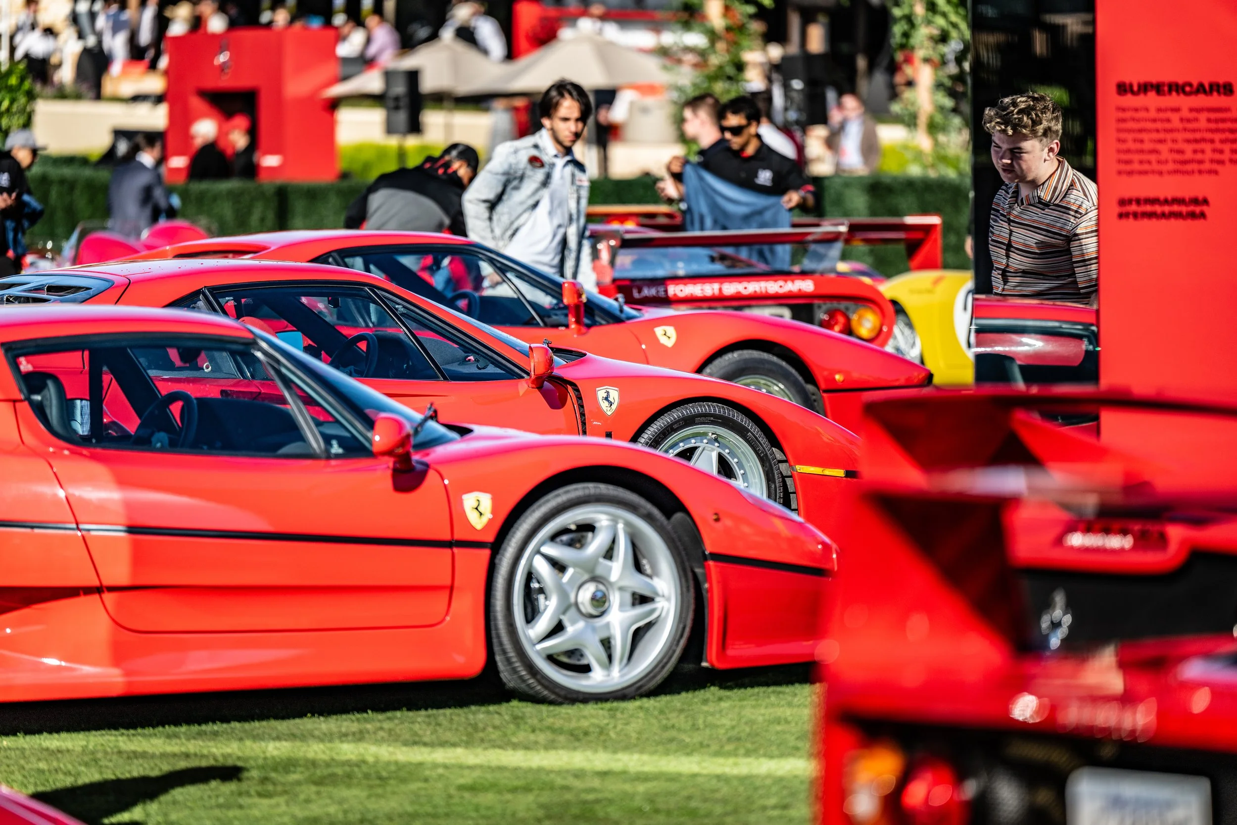 250817 Pebble NZ8_4593.jpeg