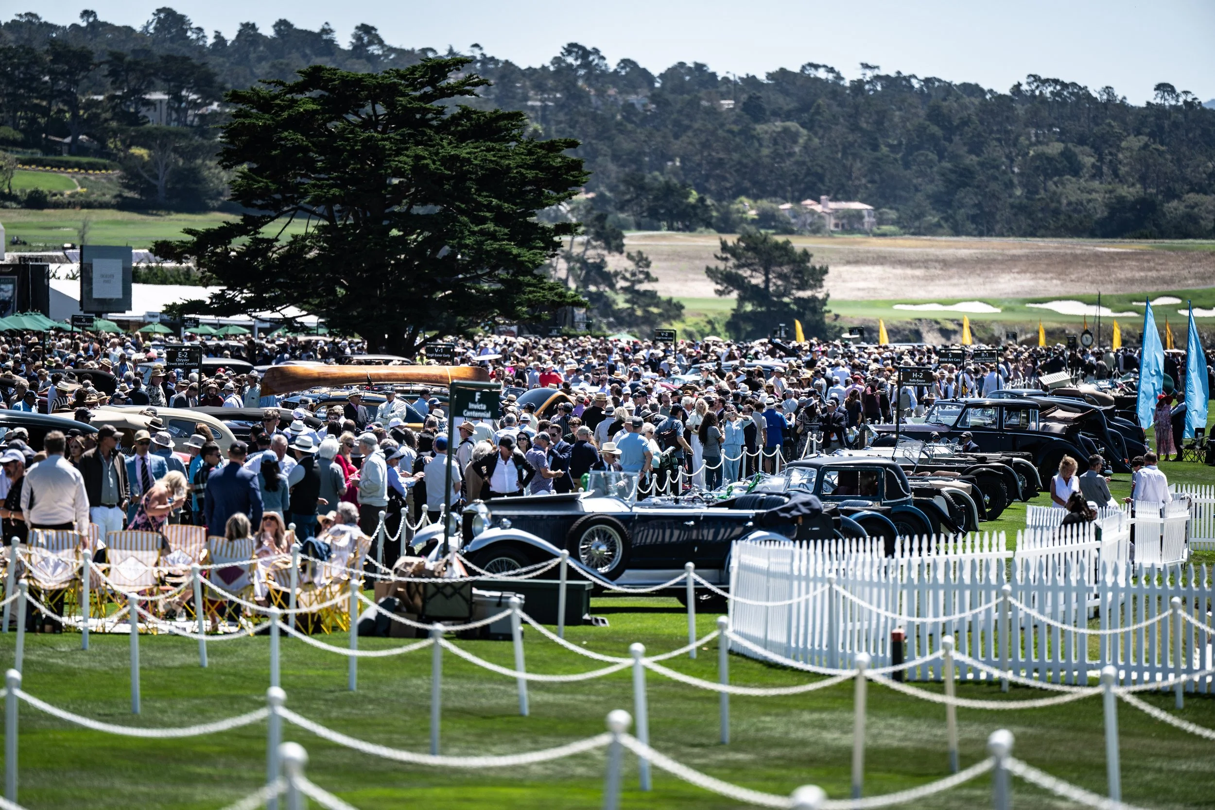 250817 Pebble NZ8_4601.jpeg