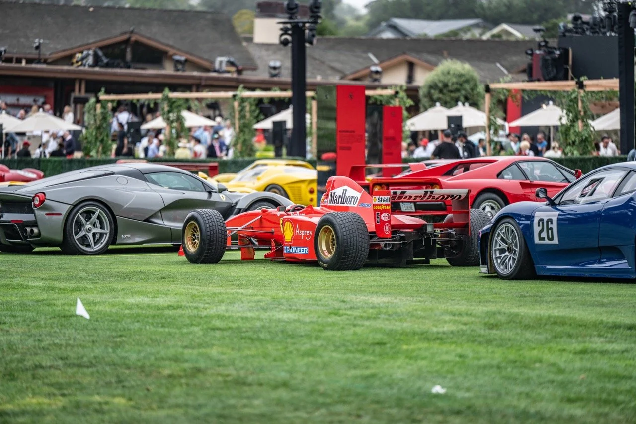 250816 Pebble NZ8_4346 Large.jpeg