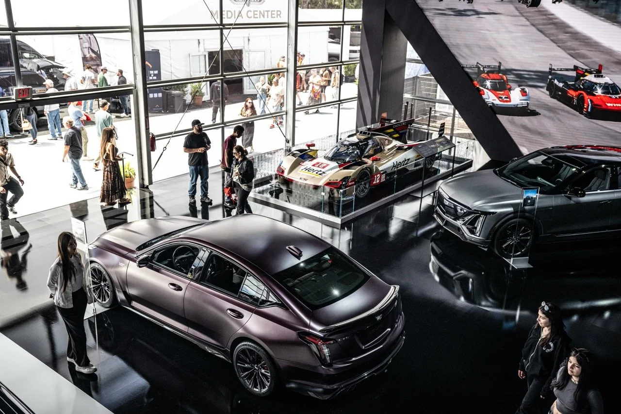 250814 Pebble NZ9_1322 Large.jpeg