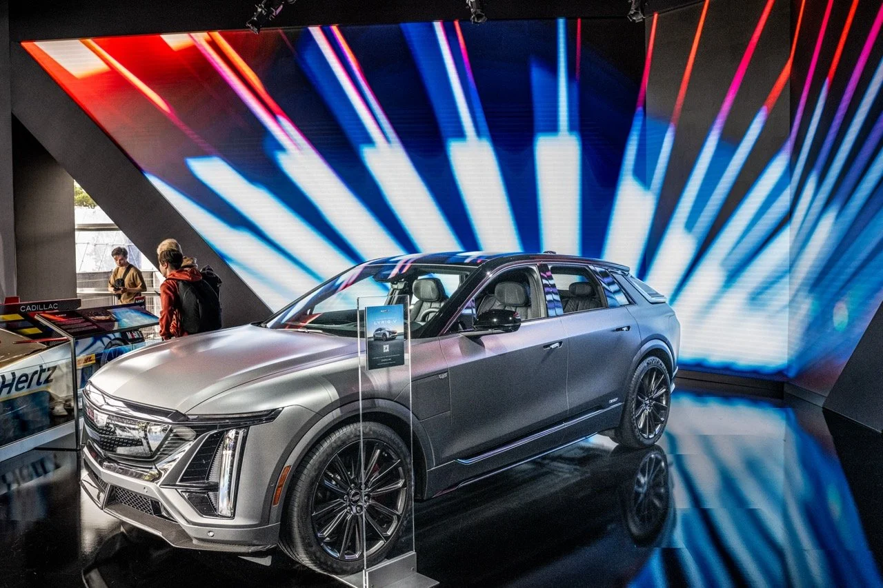 250814 Pebble NZ9_1335 Large.jpeg