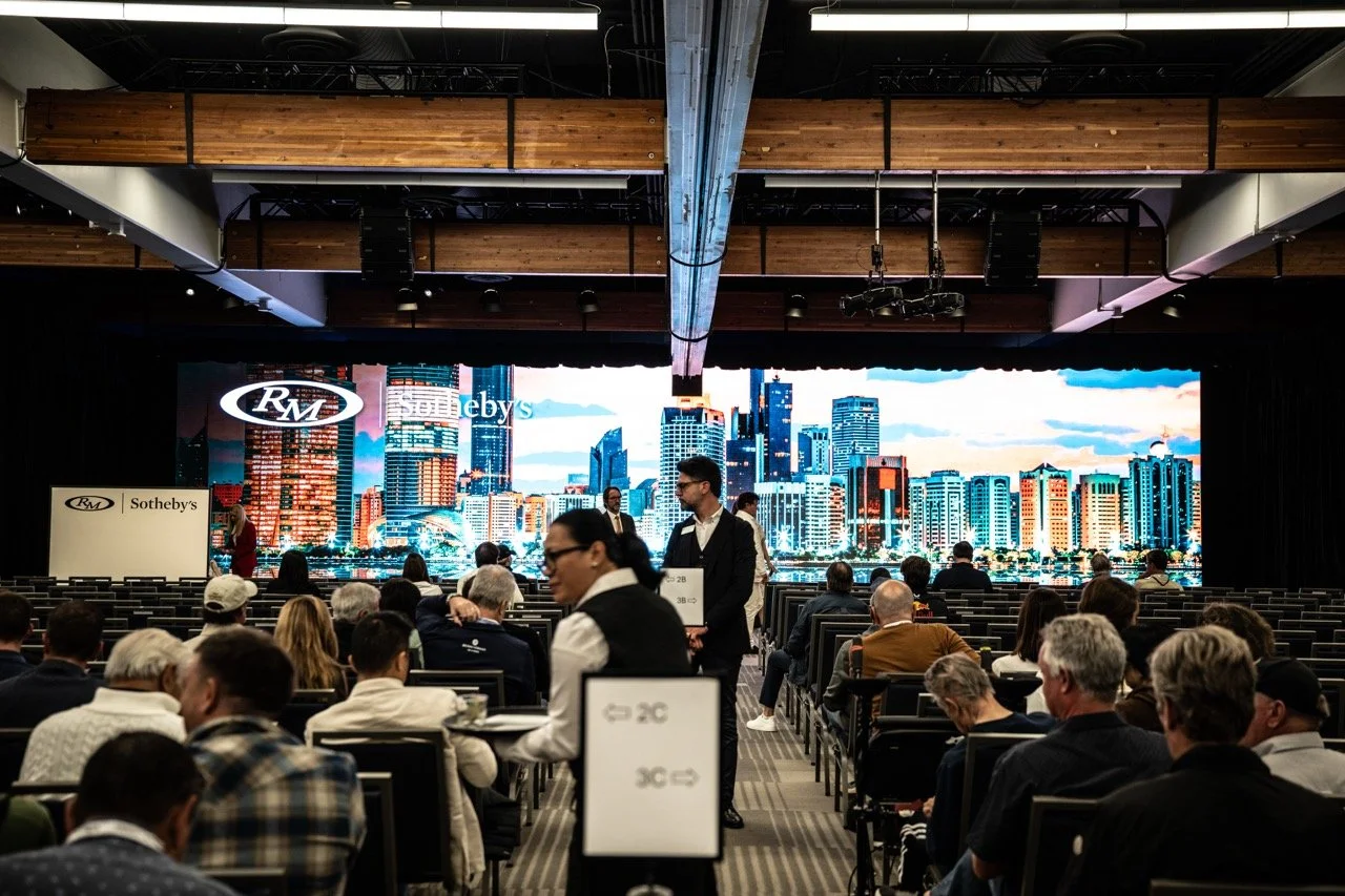 250815 Pebble NZ9_2911 Large.jpeg