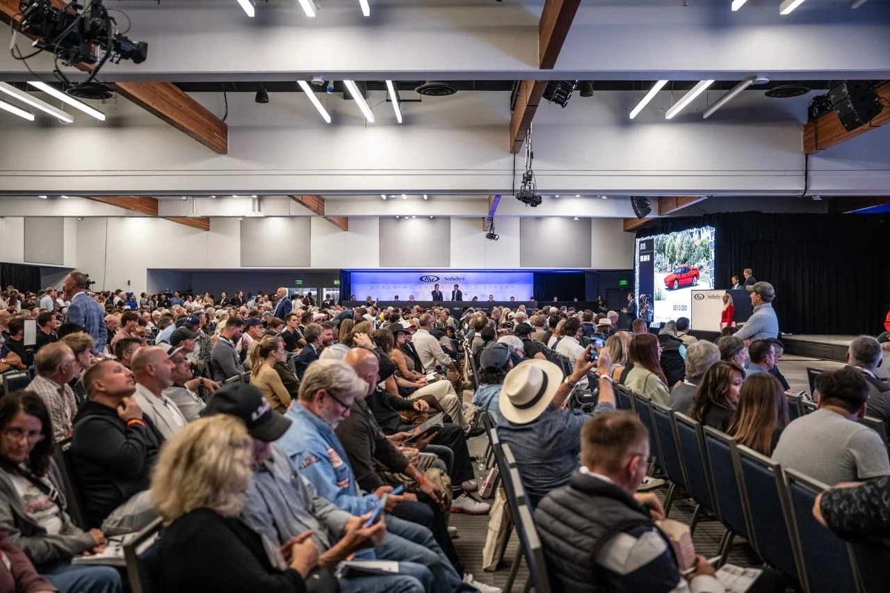 250815 Pebble NZ9_3062 Large.jpeg