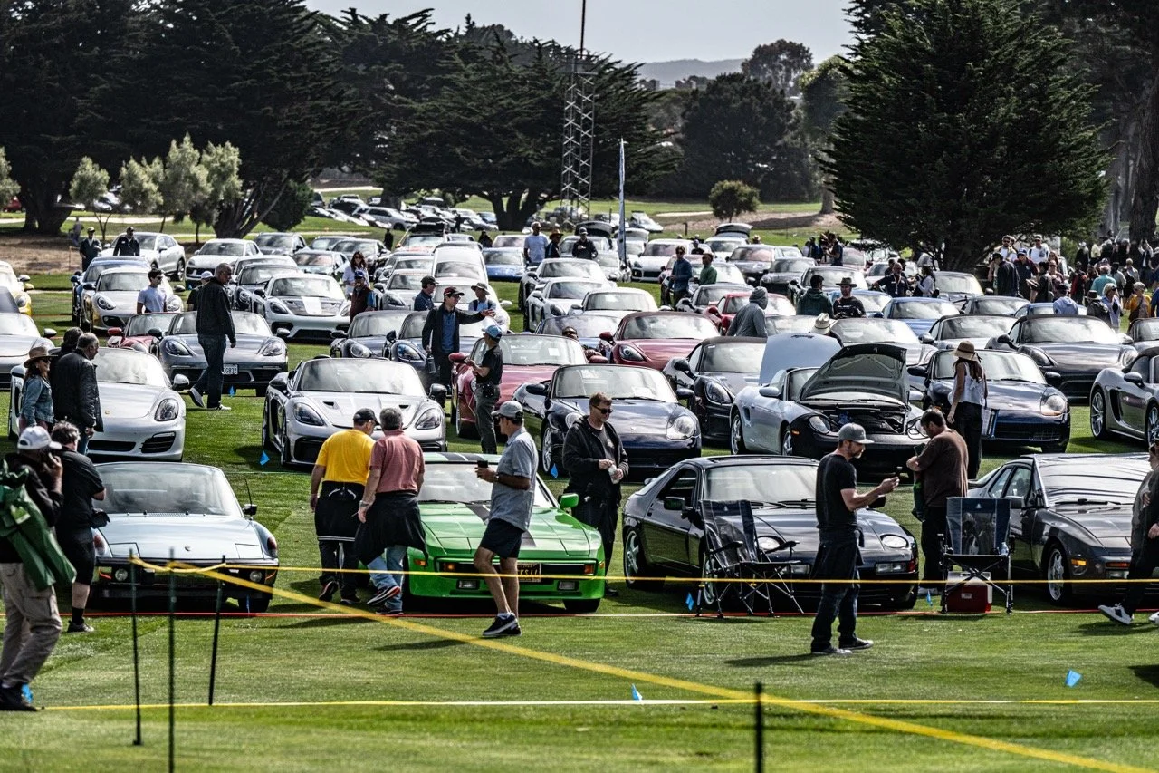 250815 Pebble NZ8_4003 Large.jpeg