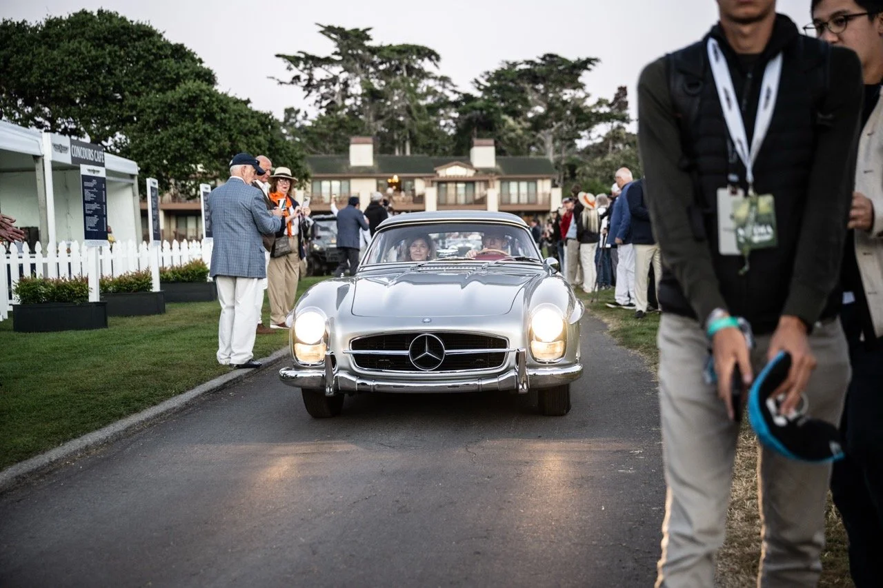 250817 Pebble NZ9_3709 Large.jpeg