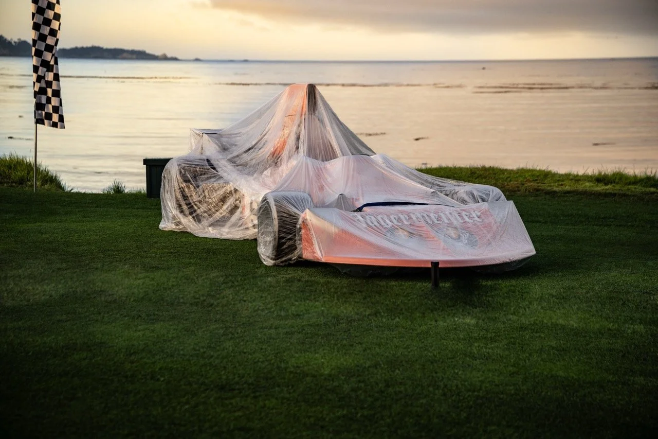 250817 Pebble NZ9_3998 Large.jpeg