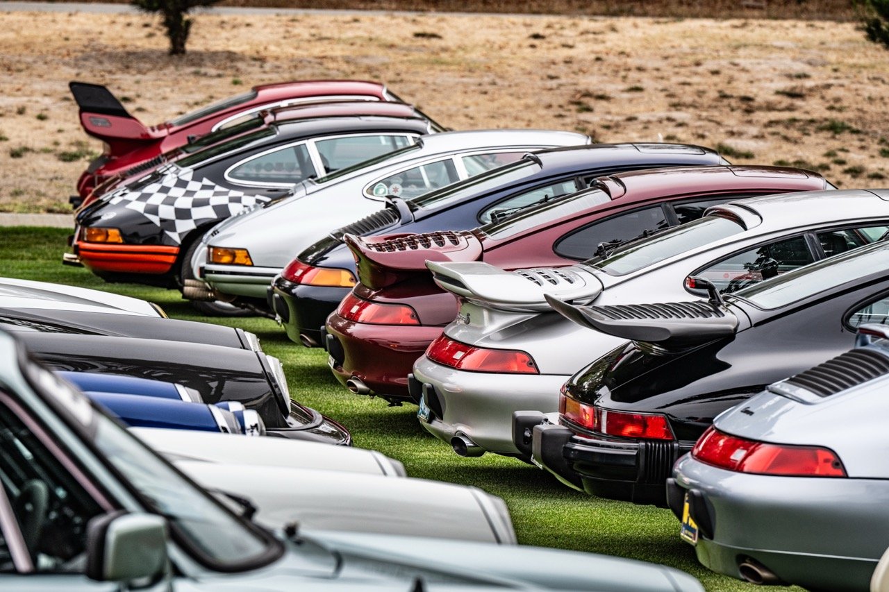 250815 Pebble NZ8_3912 Large.jpeg