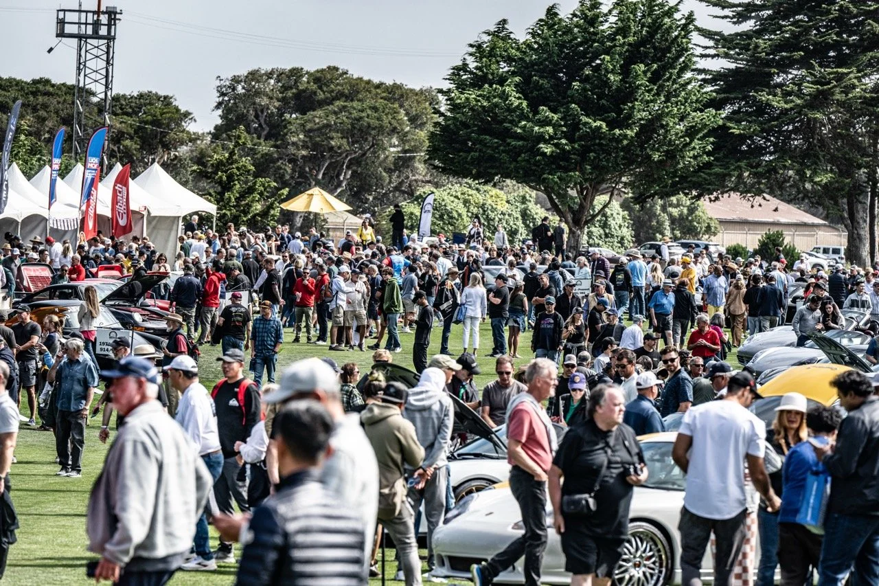 250815 Pebble NZ8_4000 Large.jpeg