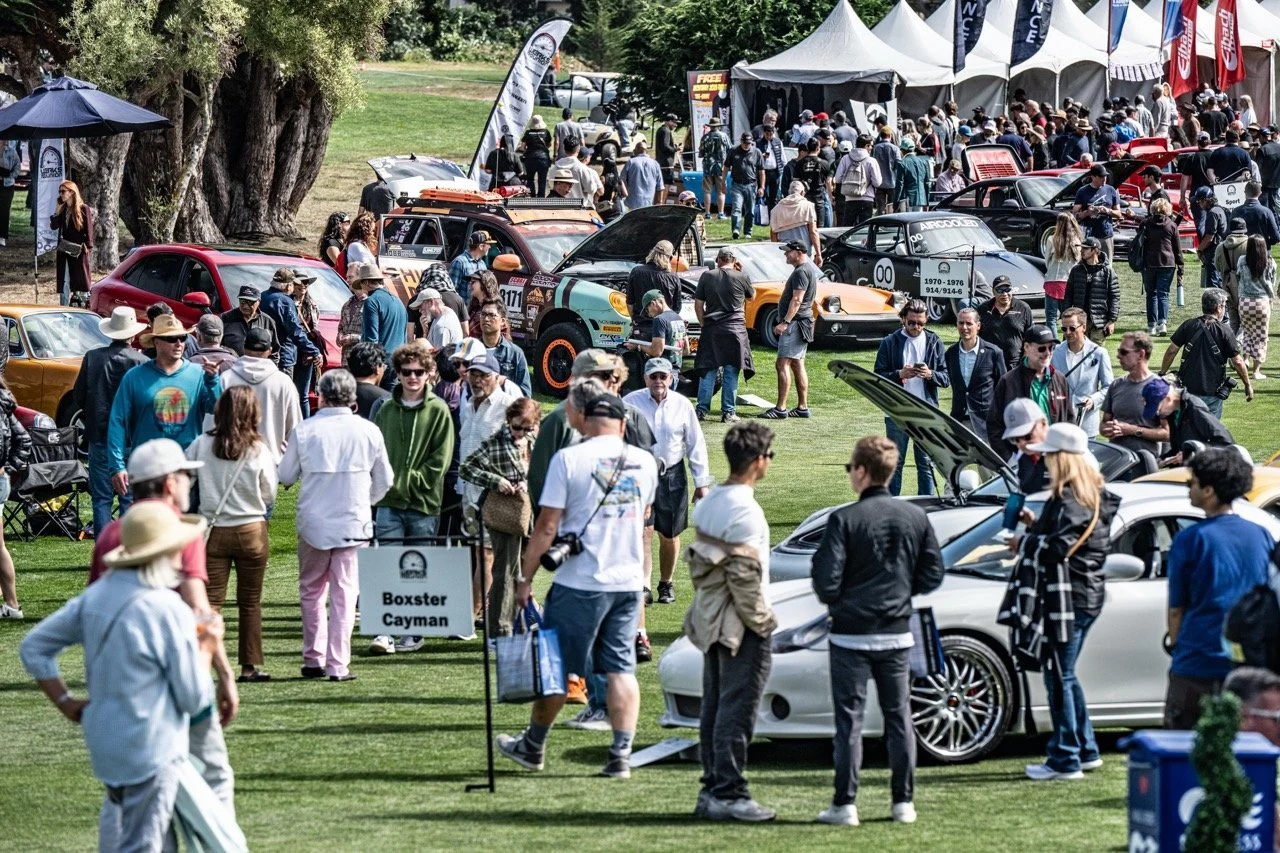 250815 Pebble NZ8_4004 Large.jpeg