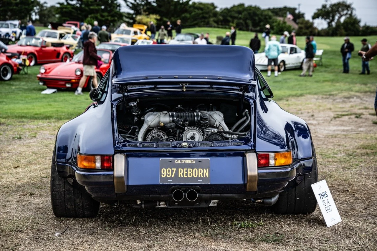 250815 Pebble NZ9_1725 Large.jpeg