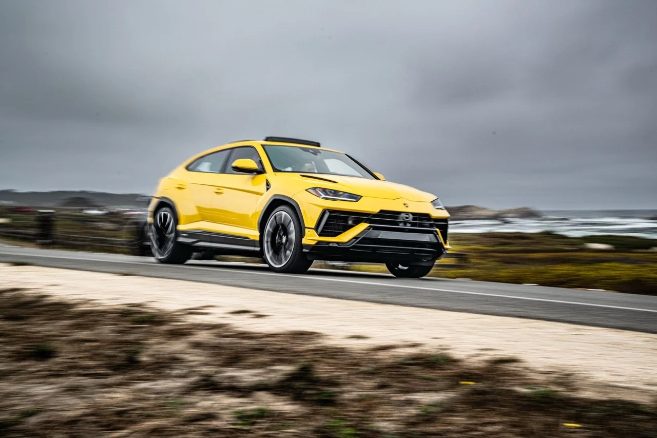 250815 Pebble NZ9_2297 Large.jpeg