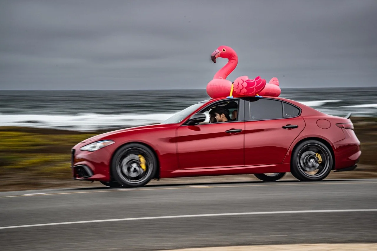 250815 Pebble NZ9_2487 Large.jpeg