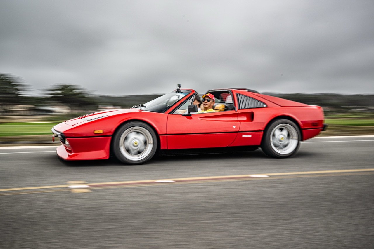 250815 Pebble NZ9_2570 Large.jpeg