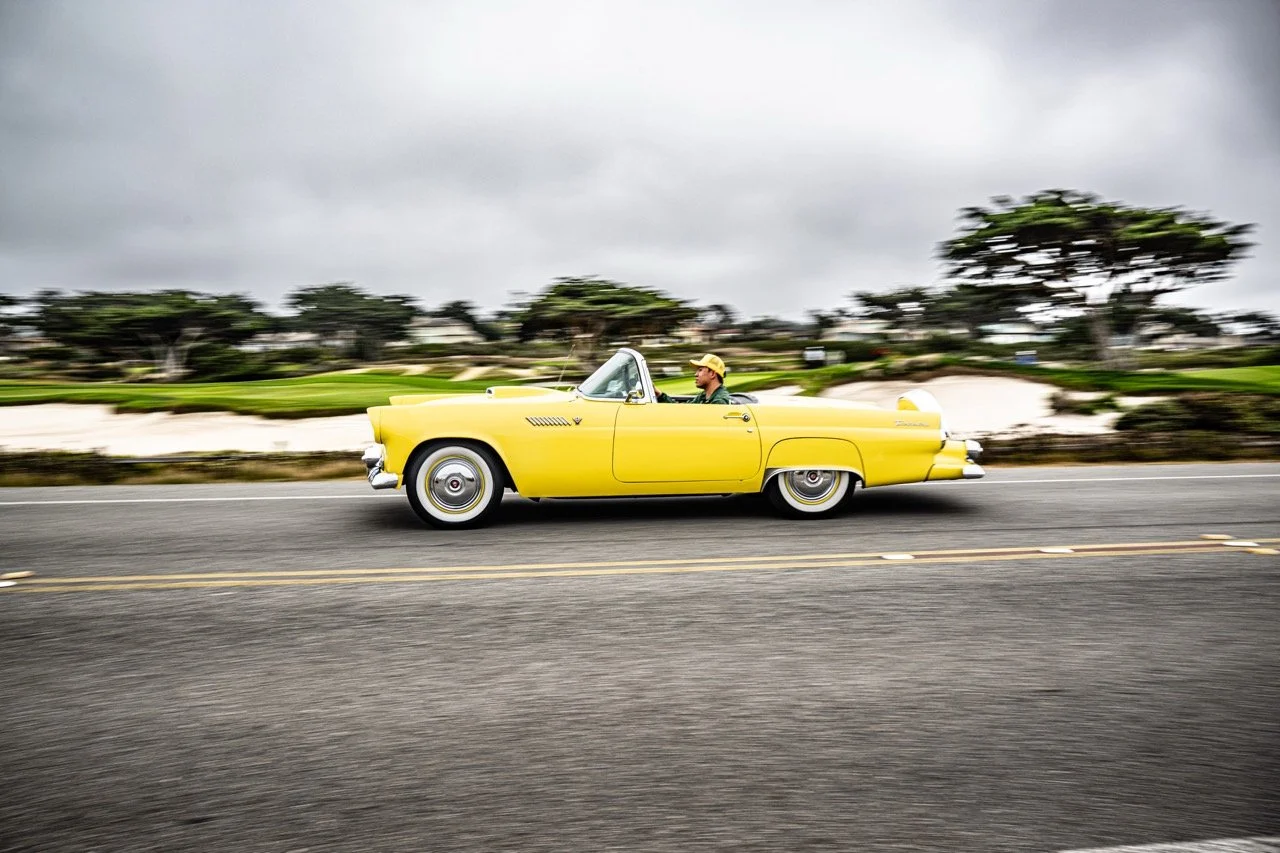 250815 Pebble NZ9_2787 Large.jpeg