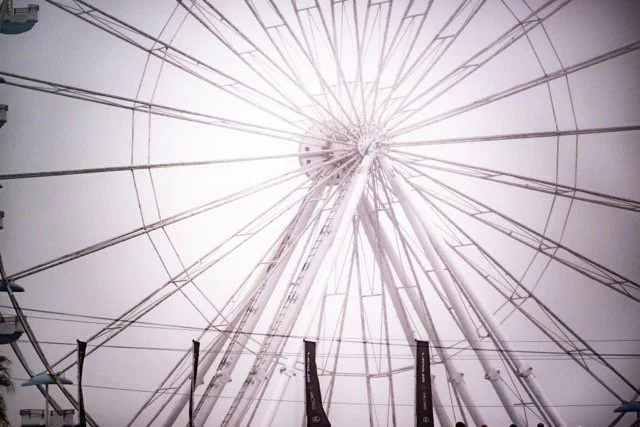 260124 _ Rolex24 _ NZ9_2417 Medium.jpeg