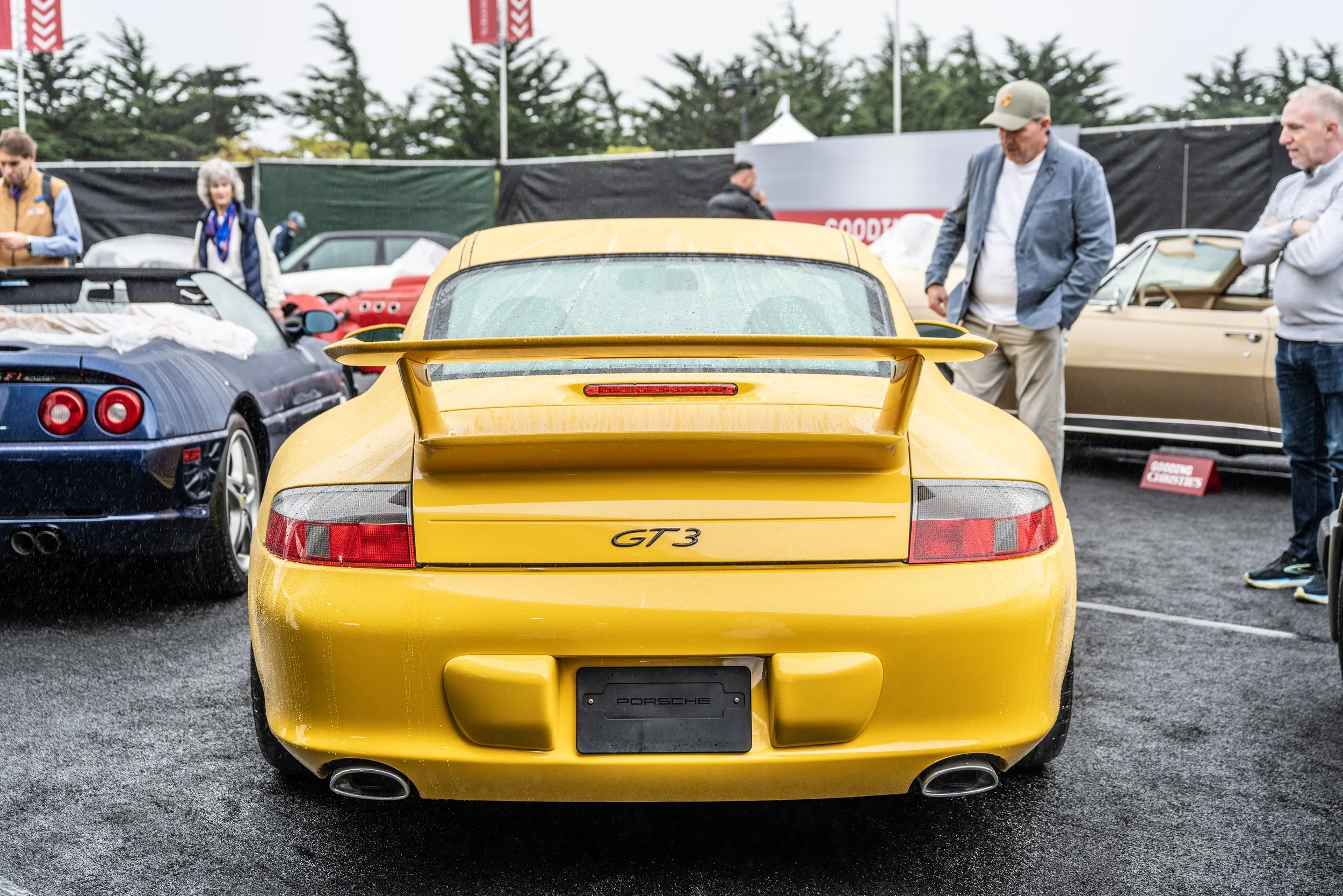 260813 _Tour d'Elegance_ Z8_0325.jpeg