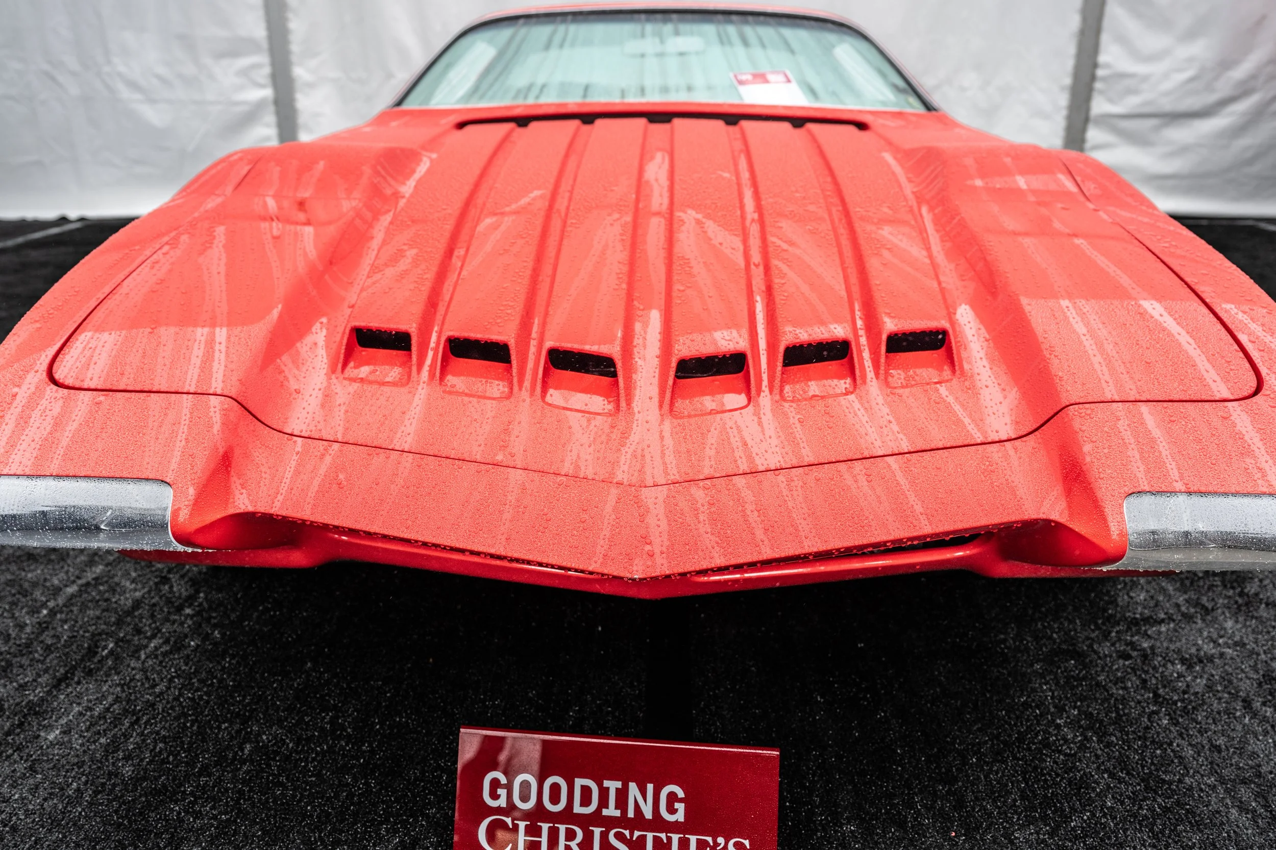 260813 _Tour d'Elegance_ Z8_0328.jpeg