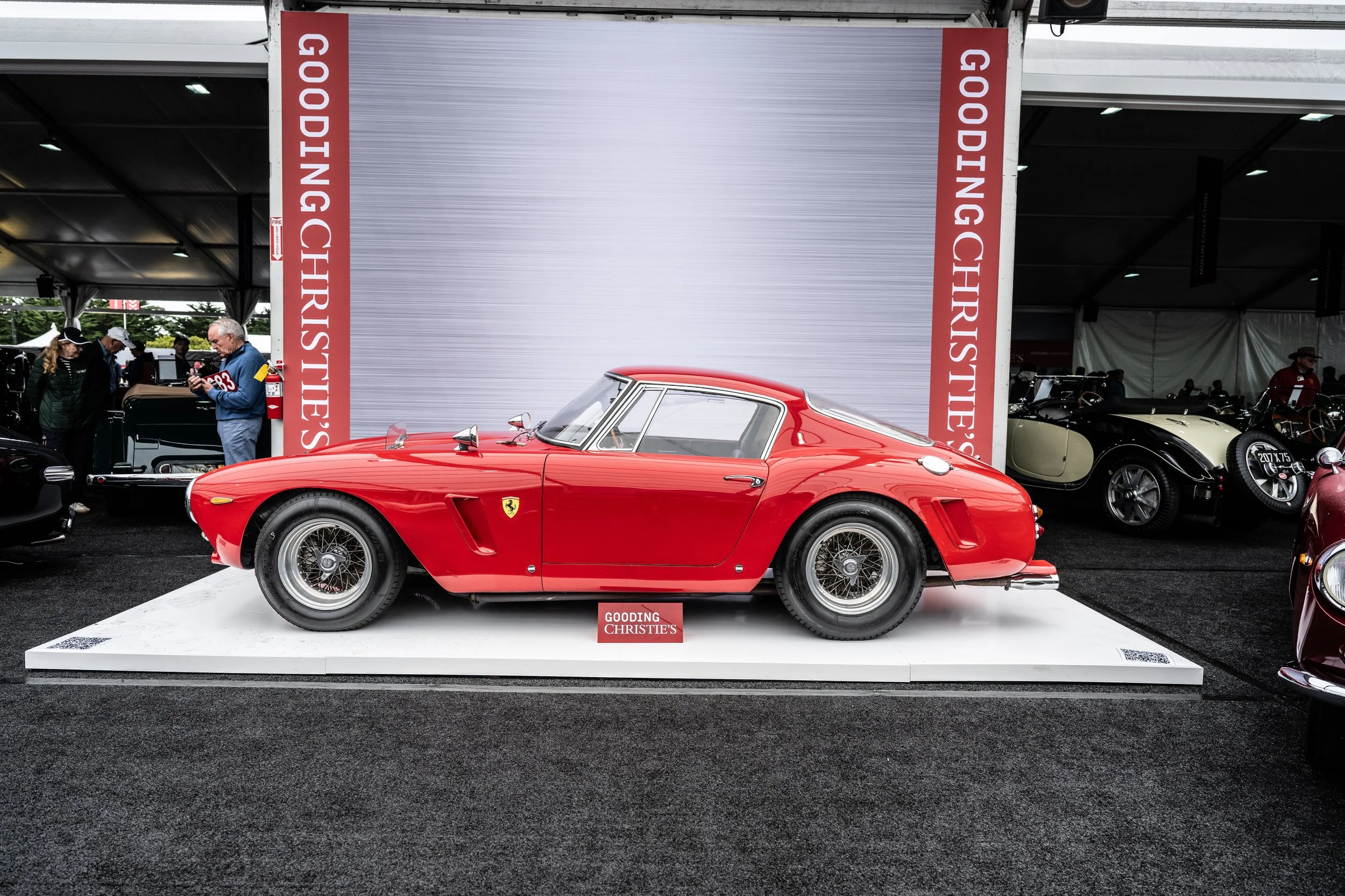 260813 _Tour d'Elegance_ Z8_0361.jpeg
