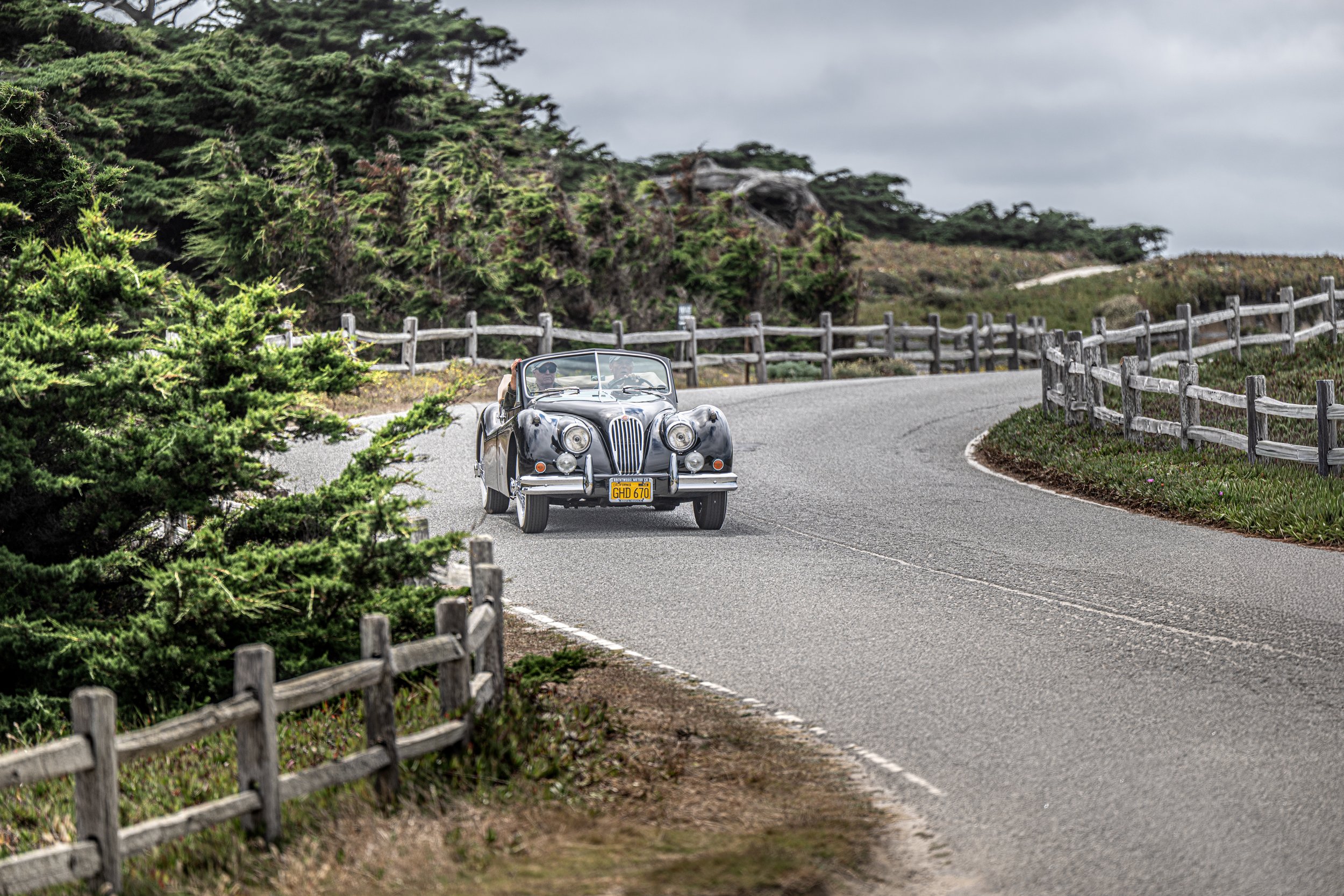 260815 _17 Mile Pebble_ Z8_1641.jpeg