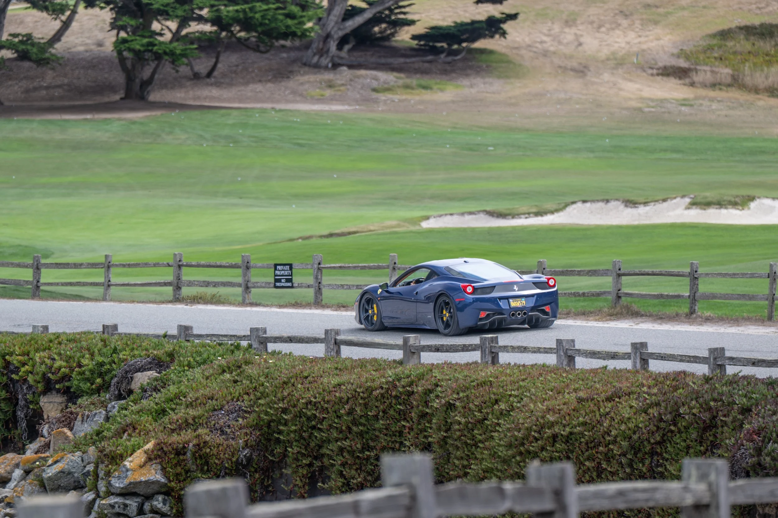 260815 _17 Mile Pebble_ Z8_1661.jpeg