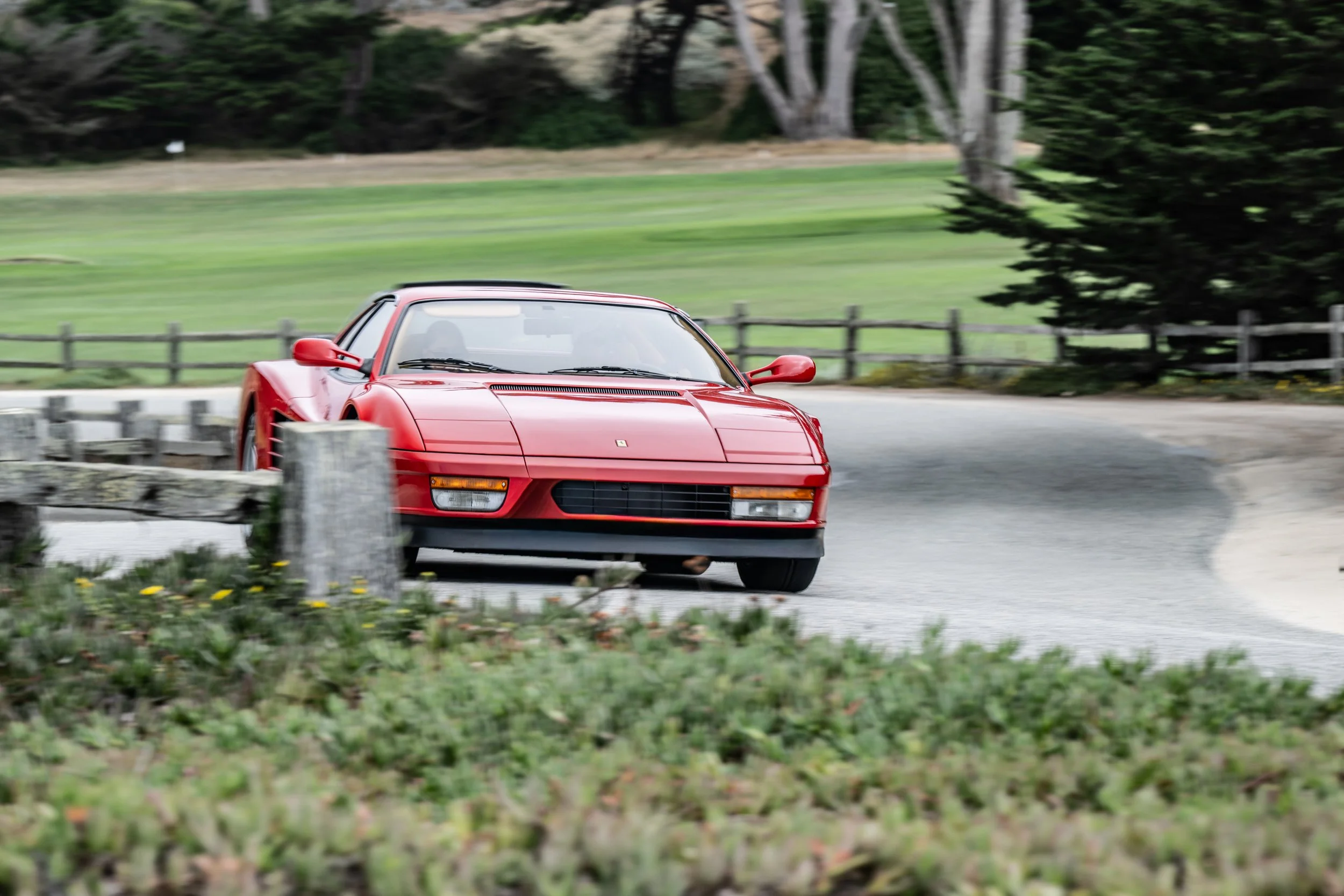 260815 _17 Mile Pebble_ Z8_1712-2.jpeg