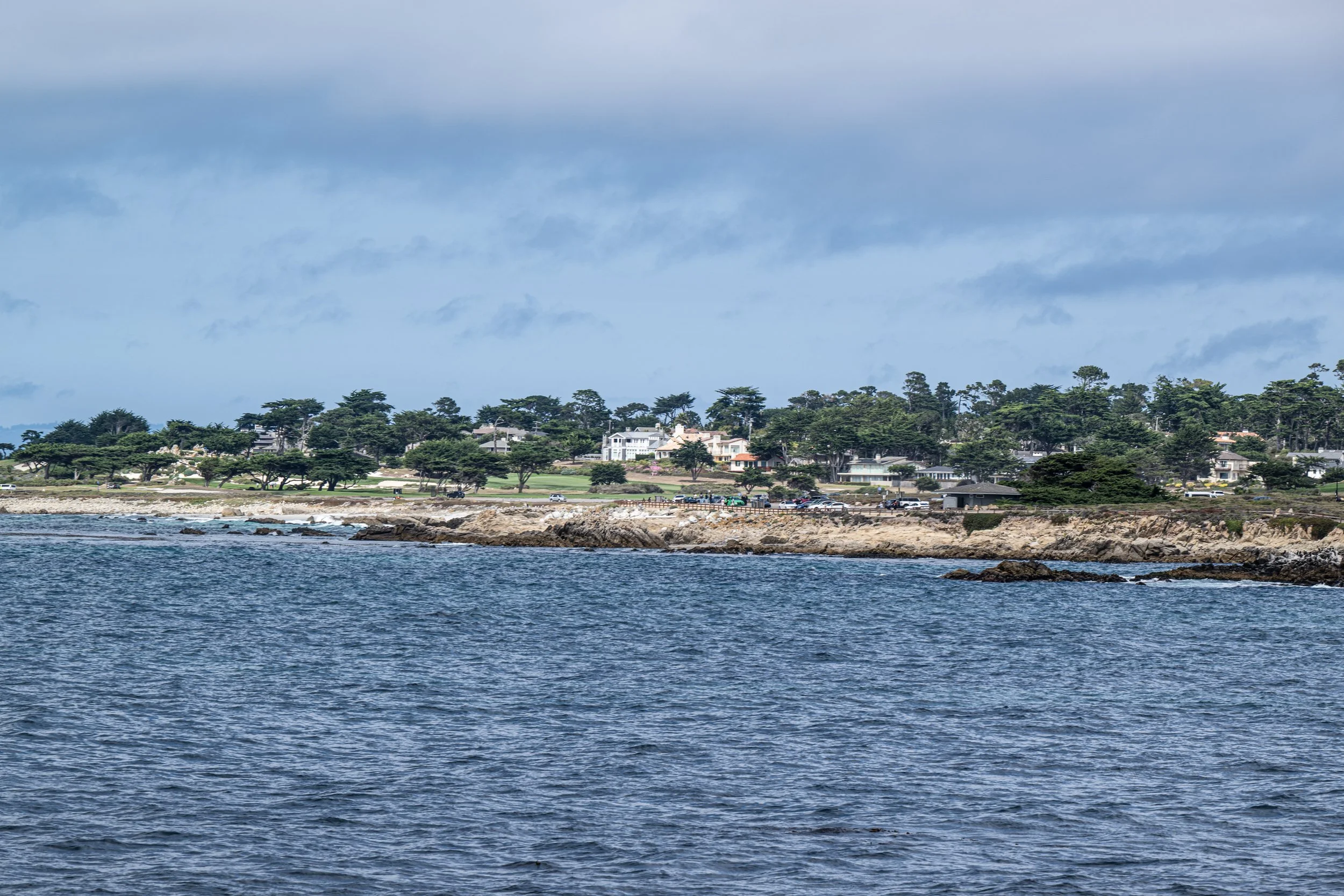 260815 _17 Mile Pebble_ Z8_1735.jpeg