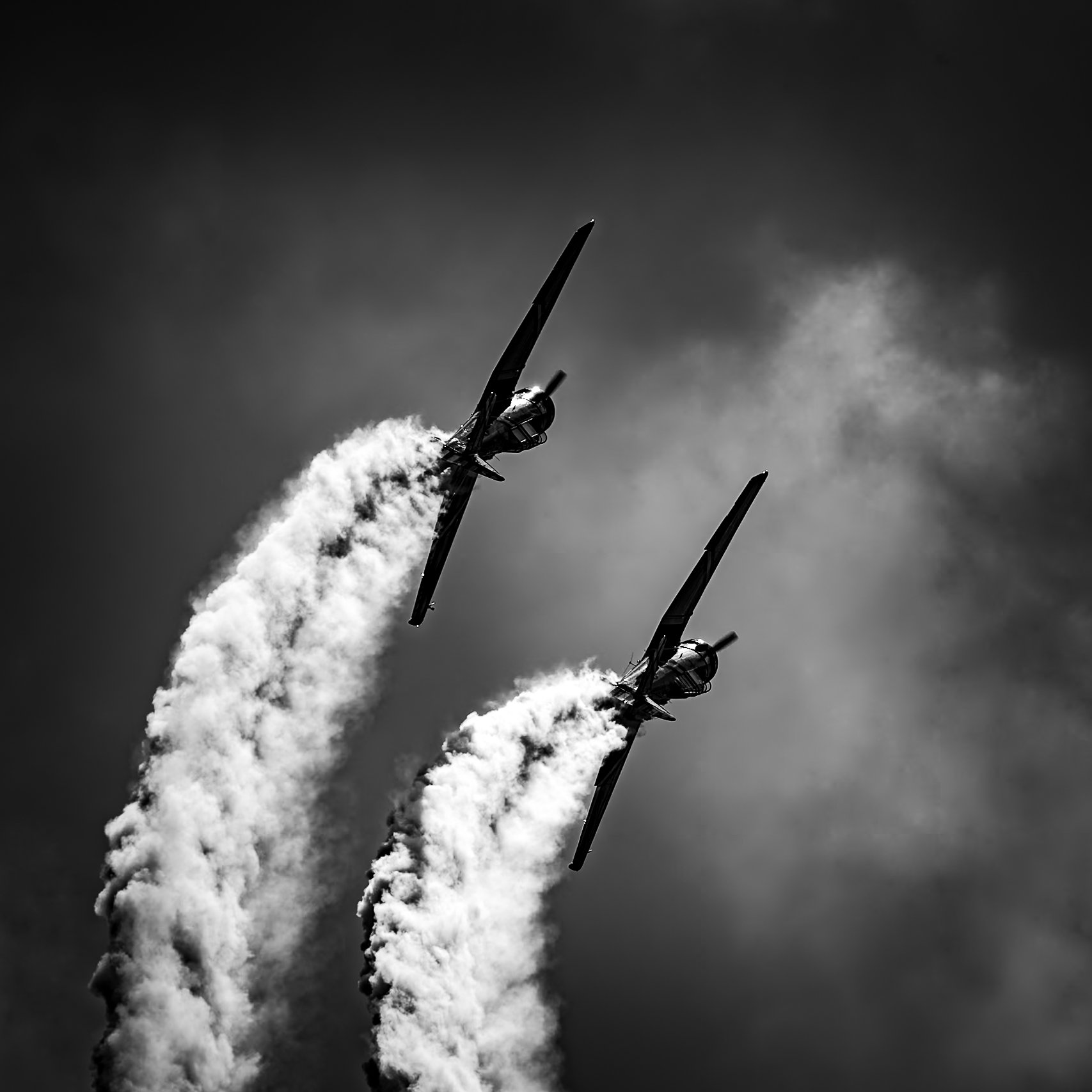 IMG_3575.jpeg