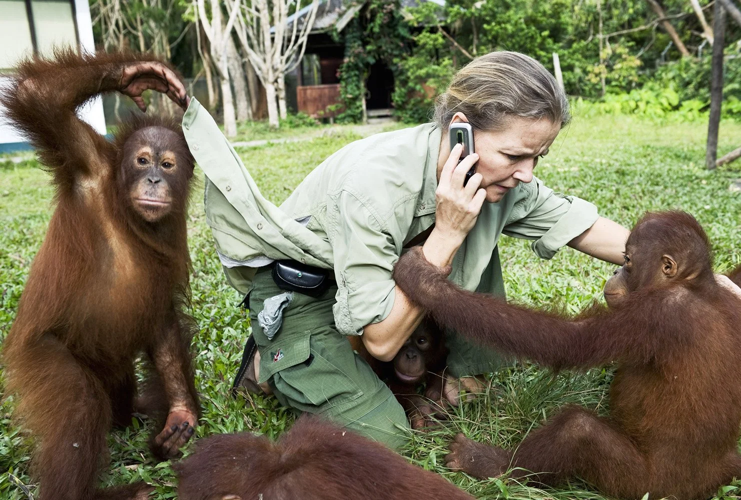 Guardians of the Forest: Lone Drøscher Nielsen and the Fight to Save Kalimantan’s Orangutans